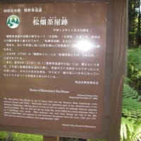 2013.01.04　3日目　小雲取越（小口自然の家から熊野本宮大社）29397歩