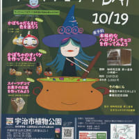 「ハロウィン　ワークショップ　DAY」