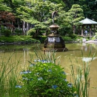 いろどりの余韻。