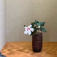 透明ガラスの水指
