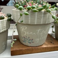 大きめリメ缶の贅沢寄せ植え　他 2025夏森 Zakkaの森作品紹介