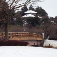 江南所無は仁徳天皇時代から存在した　水戸の浪速の梅と烈公梅の関係など