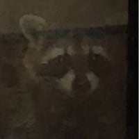 女子バレーボール部でも体罰が問題になったね 怒鳴って至近距離から 顔にボールをぶっつけるのは常套手段なんだね hiroyasu kingの体験記 裏読み思考で社会を暴く 真理不尽の違法許さず 遊び心で一刀両断 是非に及ばず