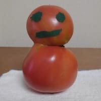 トマトだるま