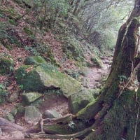 鹿児島観光