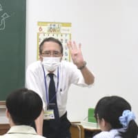 鮮やかな緑に、爽やかな白♪