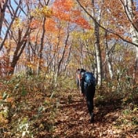 茅刈り～（156）大嵐山～（157）湯ノ倉山
