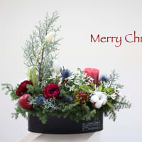 Merry Christmas！