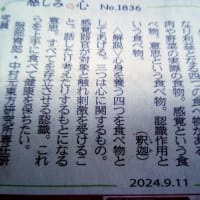 政策形成訴訟