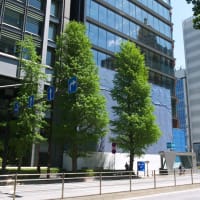 （仮称）京橋第一生命ビルディングの進捗状況　２０２５年４月２９日