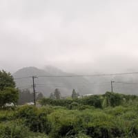 相模原も釧路並み？