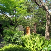 江戸時代に出来た向島百花園は野趣に富んだいい庭園だ　　　　その１/全５回