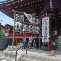 金龍山浅草寺の酸漿市