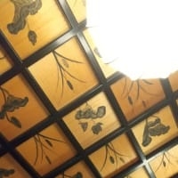 紫陽花寺（本興寺）へ。(6/21＊土）