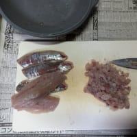釣り場は、ゴミだらけ!?