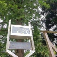 半月ぶりの金剛山（761回目）