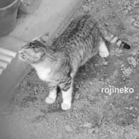 角でにおいを確認