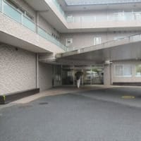 6/11　虎の門病院　　青葉の丘
