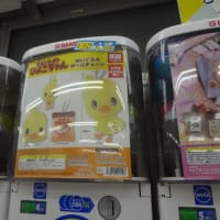 人生初！ガチャガチャでひよこちゃんGET！