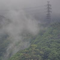 新緑の六甲山