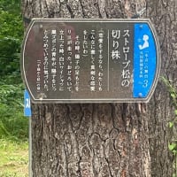 年休2日目