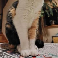 恵みの雨と魔の金曜日(T_T)
