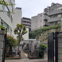 変わってしまった八百屋お七の菩提寺