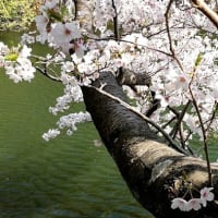 ラブレター