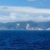なつたび_2023-７日目-2／ 津軽海峡・津軽海峡フェリー で 岩海苔弁当