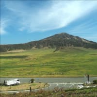 阿蘇のアセビの大群落と草千里です。
