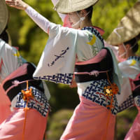 徳島城阿波おどり２０２５　うずき連　其の二