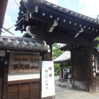 No.2116　久しぶり、京都で文化財巡り