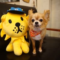 【２０２５年７月１４日・クララ】
