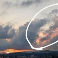 凄い写真が撮れました
