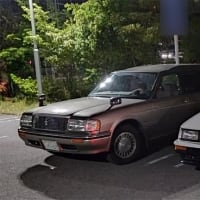 2025年、春のネタ編 - その2 - (ブログネタになり損ねた写真をしゃぶってみる)