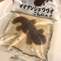 No.1562茶々から3月分の報告だよ～～ん。