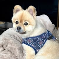 表情^_^