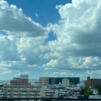 今日の富士山は雲の中