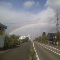 虹です。