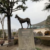 トキノミノル