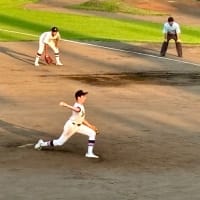 特別支援学校（知的障害）野球部 の甲子園予選生観戦