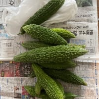 雨が降っている