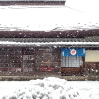 10年を節目に～第10回 海野宿ひな祭り～