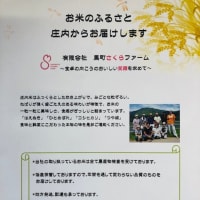 今年度の新米情報です❣