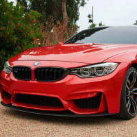 冬眠前にシーサイド、フェラーリ599GTO、Mの車検