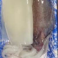 授業参観