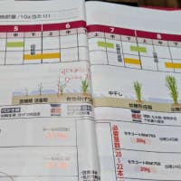情けなくなる
