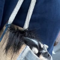 貞子？