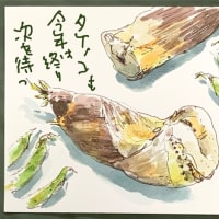 タケノコも　今年は終り　次を待つ