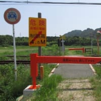 山陽本線115系N編成　4種踏切を通過する列車　2024-05-25